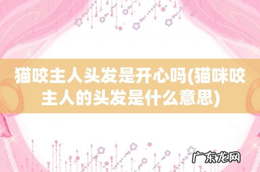 猫咪咬主人的头发是什么意思 猫咬主人头发是开心吗
