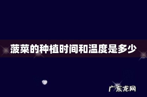 菠菜的种植时间和温度是多少