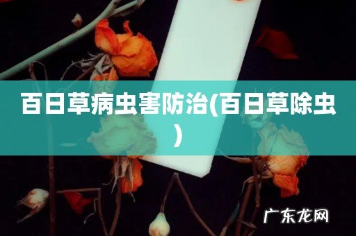 百日草除虫 百日草病虫害防治