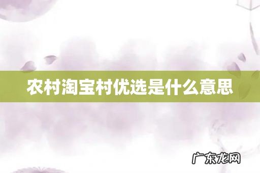 农村淘宝村优选是什么意思