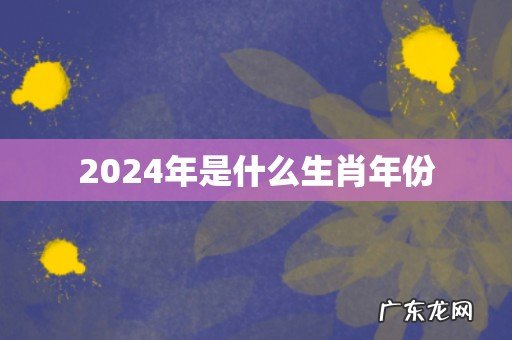 2024年是什么生肖年份