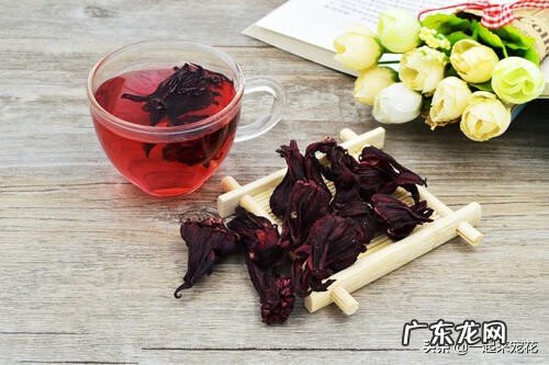 洛神花的功效及搭配 盆栽洛神花