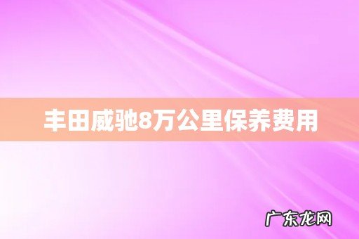 丰田威驰8万公里保养费用