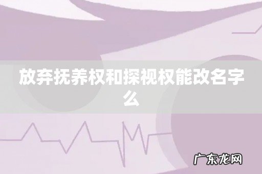放弃抚养权和探视权能改名字么