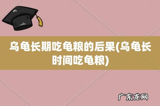 乌龟长时间吃龟粮 乌龟长期吃龟粮的后果