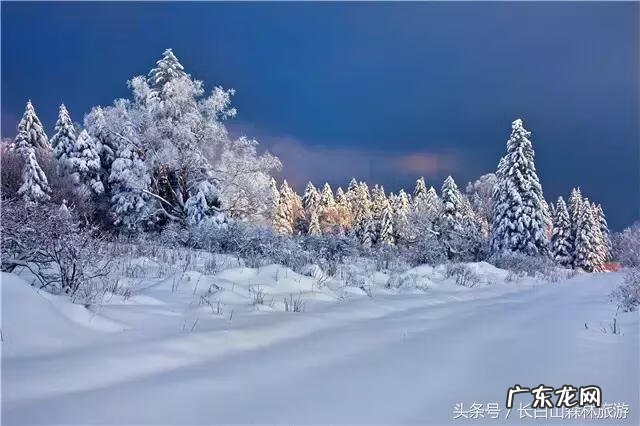 关于描写雪景的作文 关于雪景的作文300字