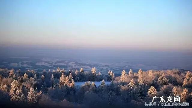 关于描写雪景的作文 关于雪景的作文300字