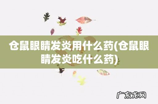 仓鼠眼睛发炎吃什么药 仓鼠眼睛发炎用什么药