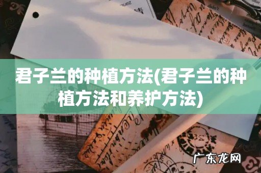 君子兰的种植方法和养护方法 君子兰的种植方法