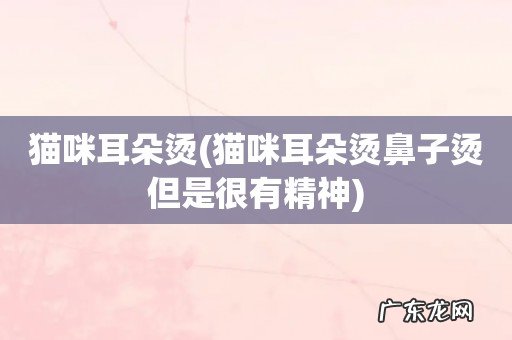 猫咪耳朵烫鼻子烫但是很有精神 猫咪耳朵烫