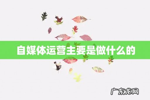 自媒体运营主要是做什么的