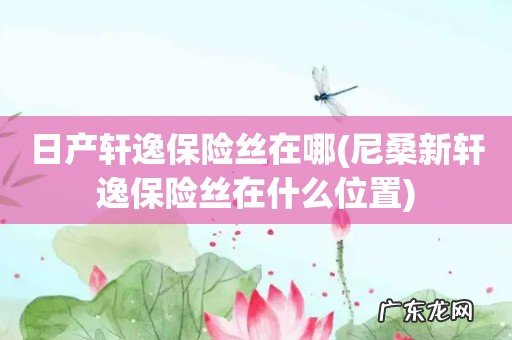 尼桑新轩逸保险丝在什么位置 日产轩逸保险丝在哪