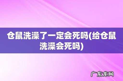 给仓鼠洗澡会死吗 仓鼠洗澡了一定会死吗