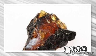 抚顺琥珀稀有值钱吗 抚顺琥珀有收藏价值吗