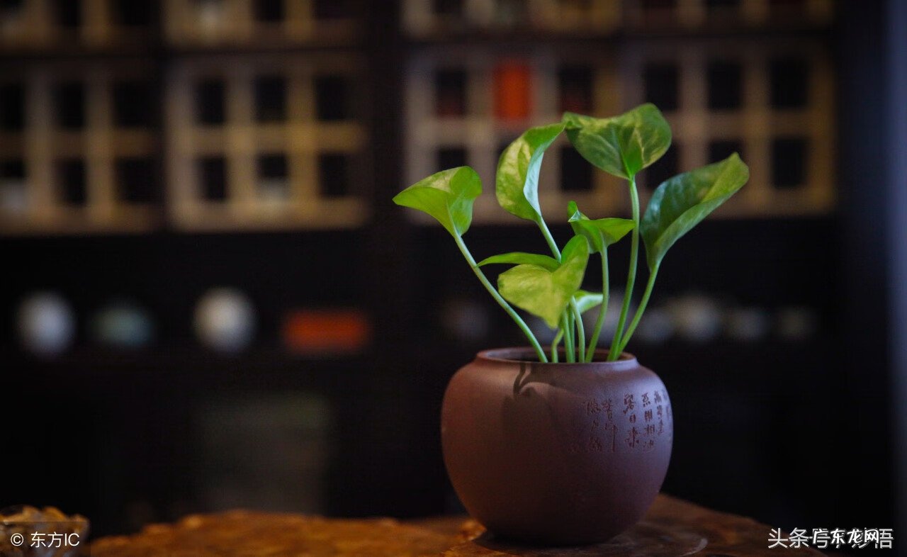 八字中回禄是什么意思 风水回禄是什么意思