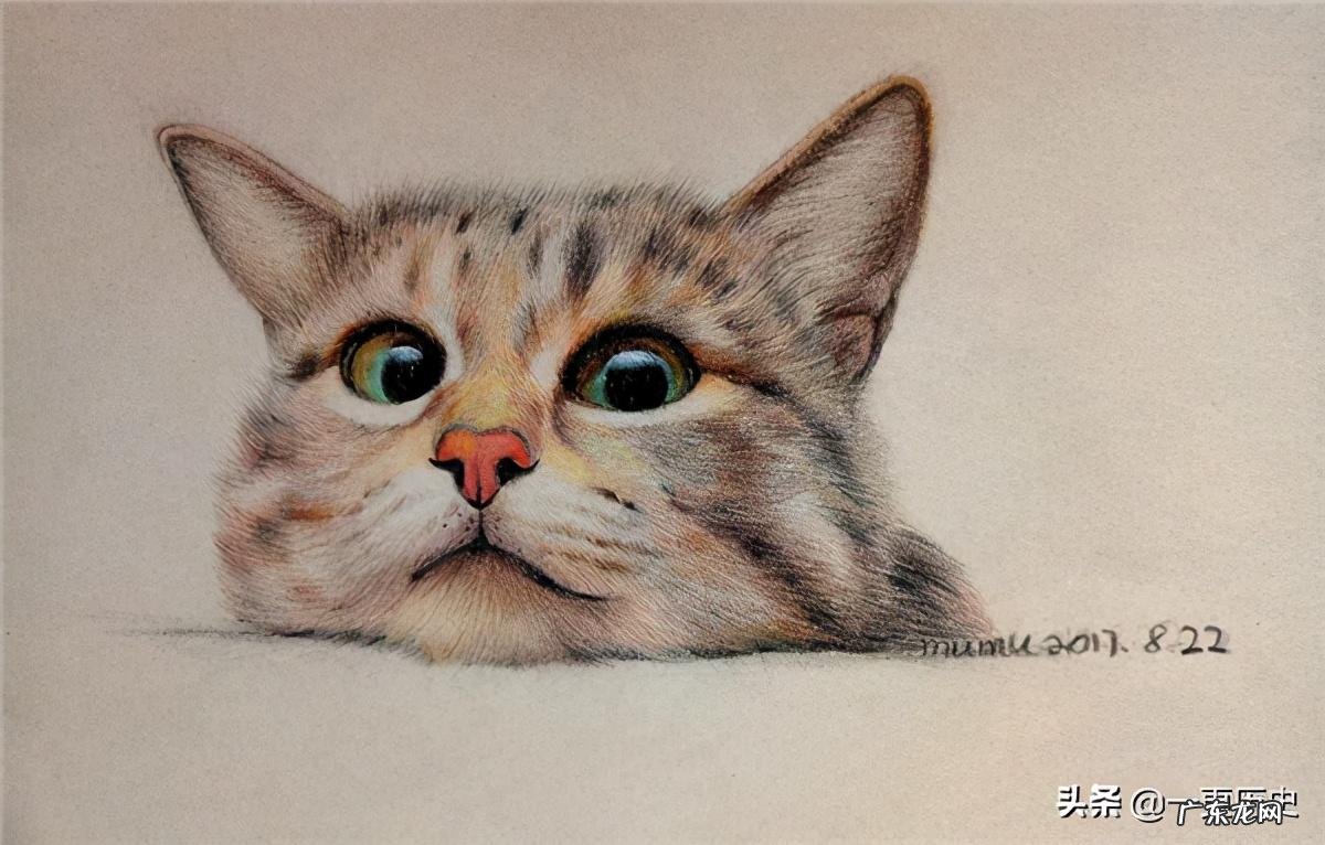 十二生肖里面为什么没有猫的故事