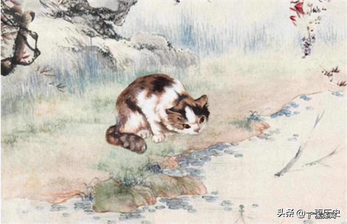 十二生肖里面为什么没有猫的故事