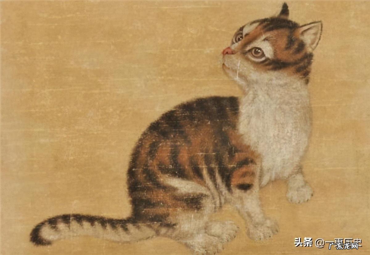 十二生肖里面为什么没有猫的故事