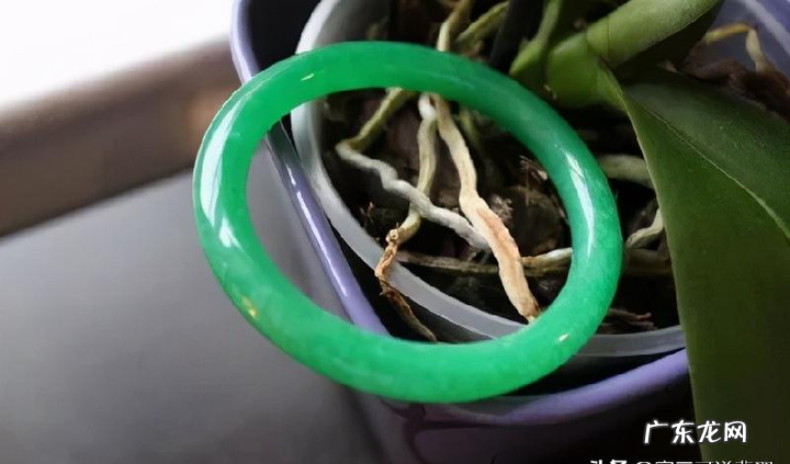 翡翠怎么选才是最好的 如何挑选翡翠镯子