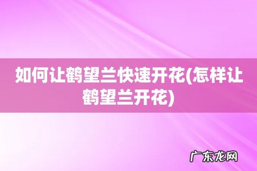 怎样让鹤望兰开花 如何让鹤望兰快速开花