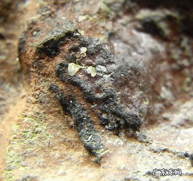 顶级陨石宝石一克多少钱 世界上顶级的陨石钻石有哪些