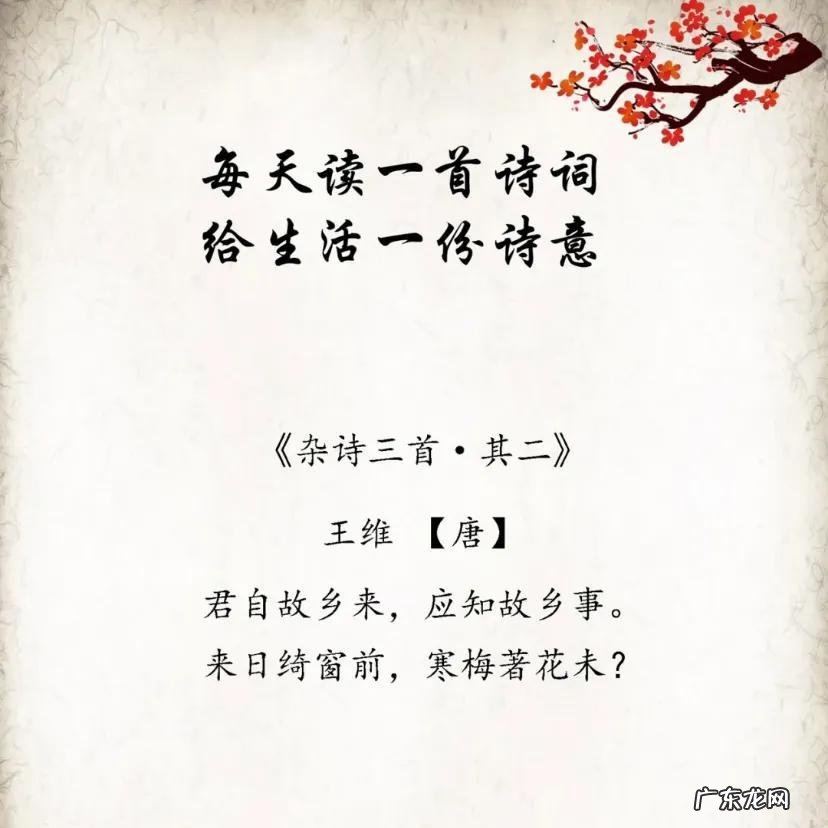 五首令人赞叹的五言古诗 五个字的绝美诗句有哪些