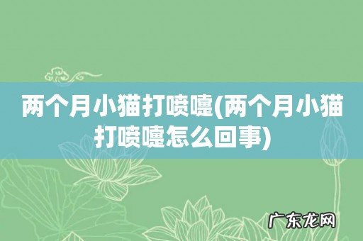两个月小猫打喷嚏怎么回事 两个月小猫打喷嚏
