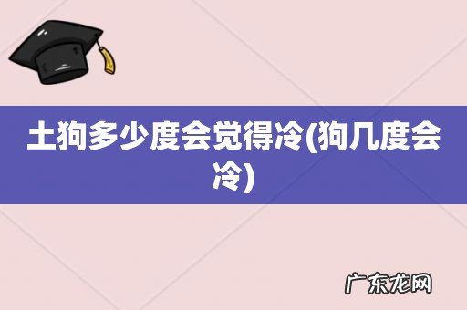 狗几度会冷 土狗多少度会觉得冷