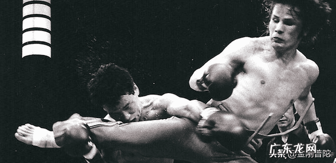 飞凤形风水图片 飞鹰过江风水图片