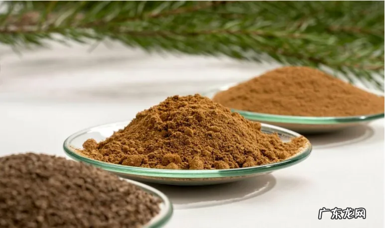 木头也能造电池?性能或超锂电,无毒无害无污染