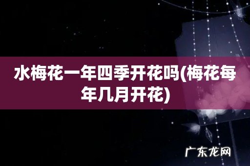 梅花每年几月开花 水梅花一年四季开花吗