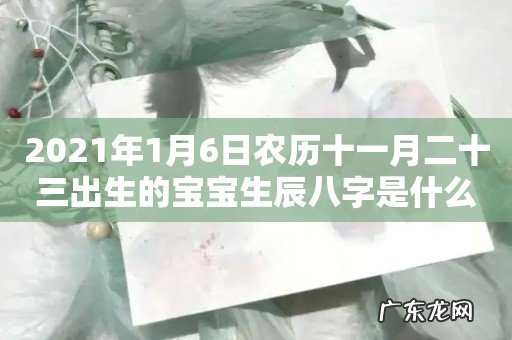 2021年1月6日农历十一月二十三出生的宝宝生辰八字是什么