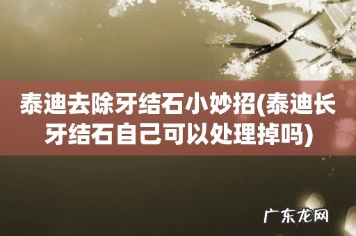 泰迪长牙结石自己可以处理掉吗 泰迪去除牙结石小妙招