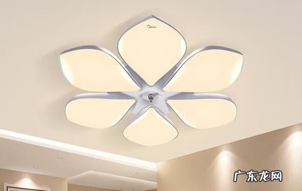 路灯塑料圆球灯罩 重庆不锈钢风水透光镂空球灯罩