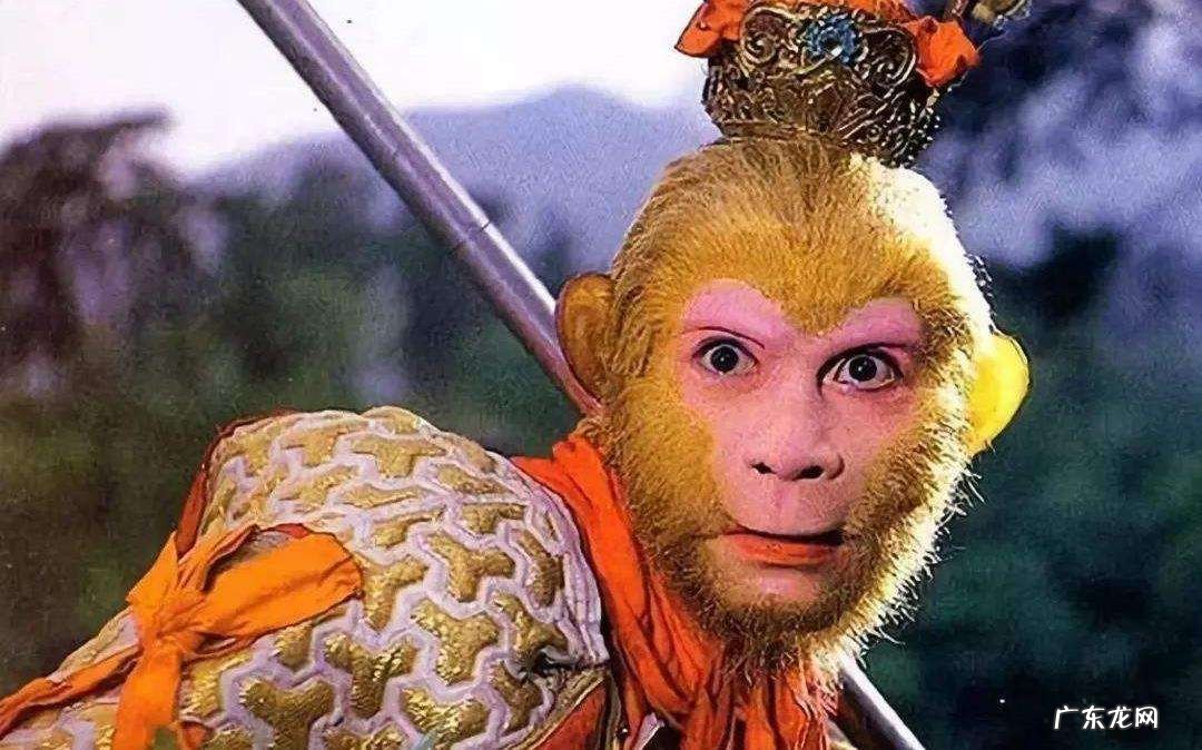 西游记猪八戒称呼由来 为什么只有猪八戒敢叫弼马温