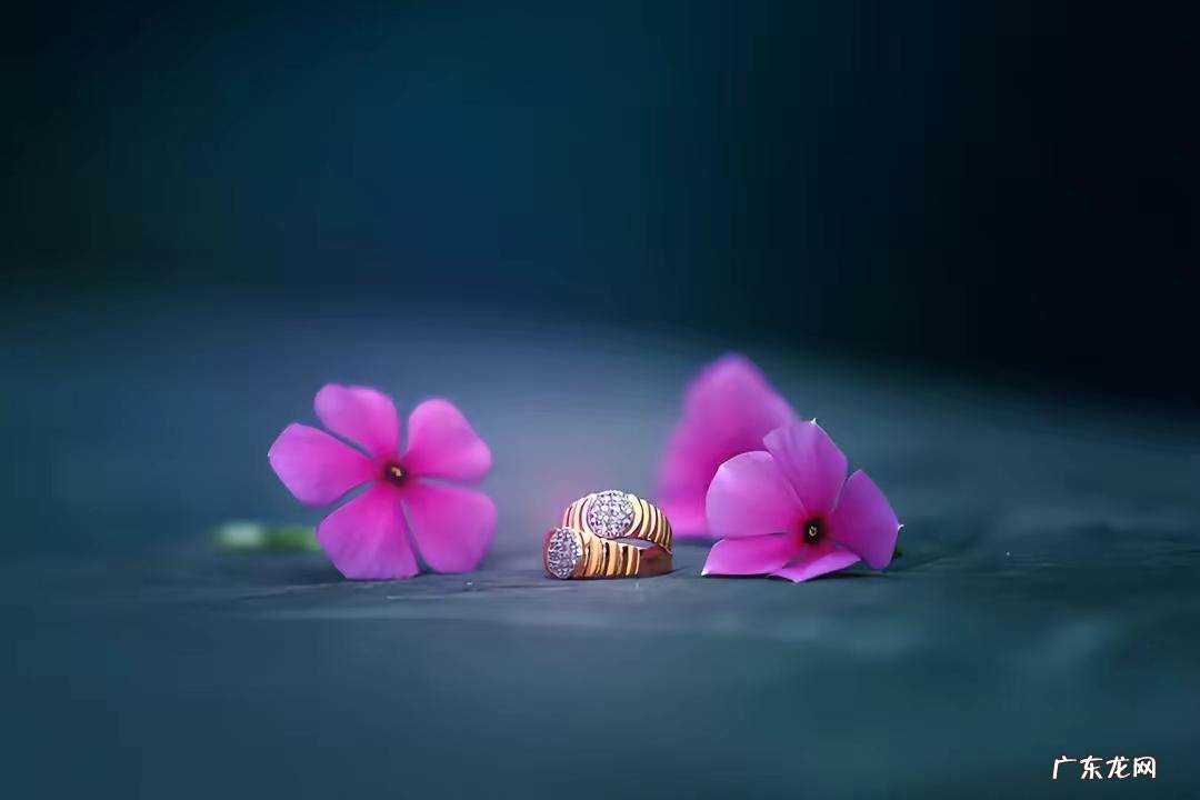 真正的释怀需要做到哪四点 释怀的最好解释是什么意思