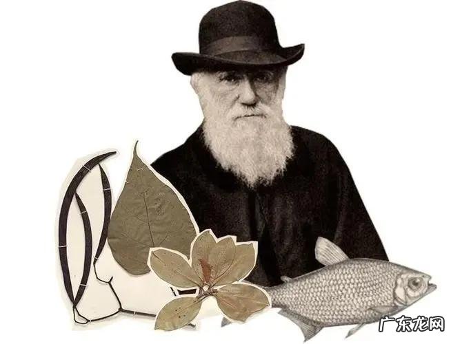 达尔文的人物生平及主要成就 达尔文人物简介事迹