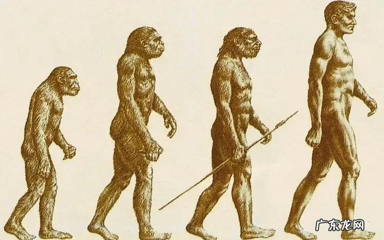 达尔文的人物生平及主要成就 达尔文人物简介事迹