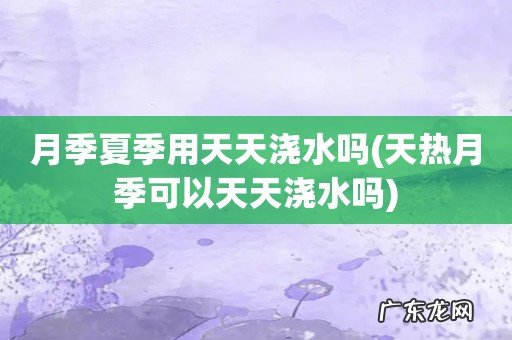 天热月季可以天天浇水吗 月季夏季用天天浇水吗