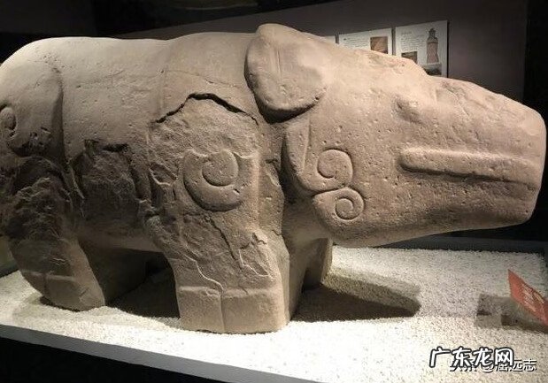 犀牛的风水寓意 犀牛与风水