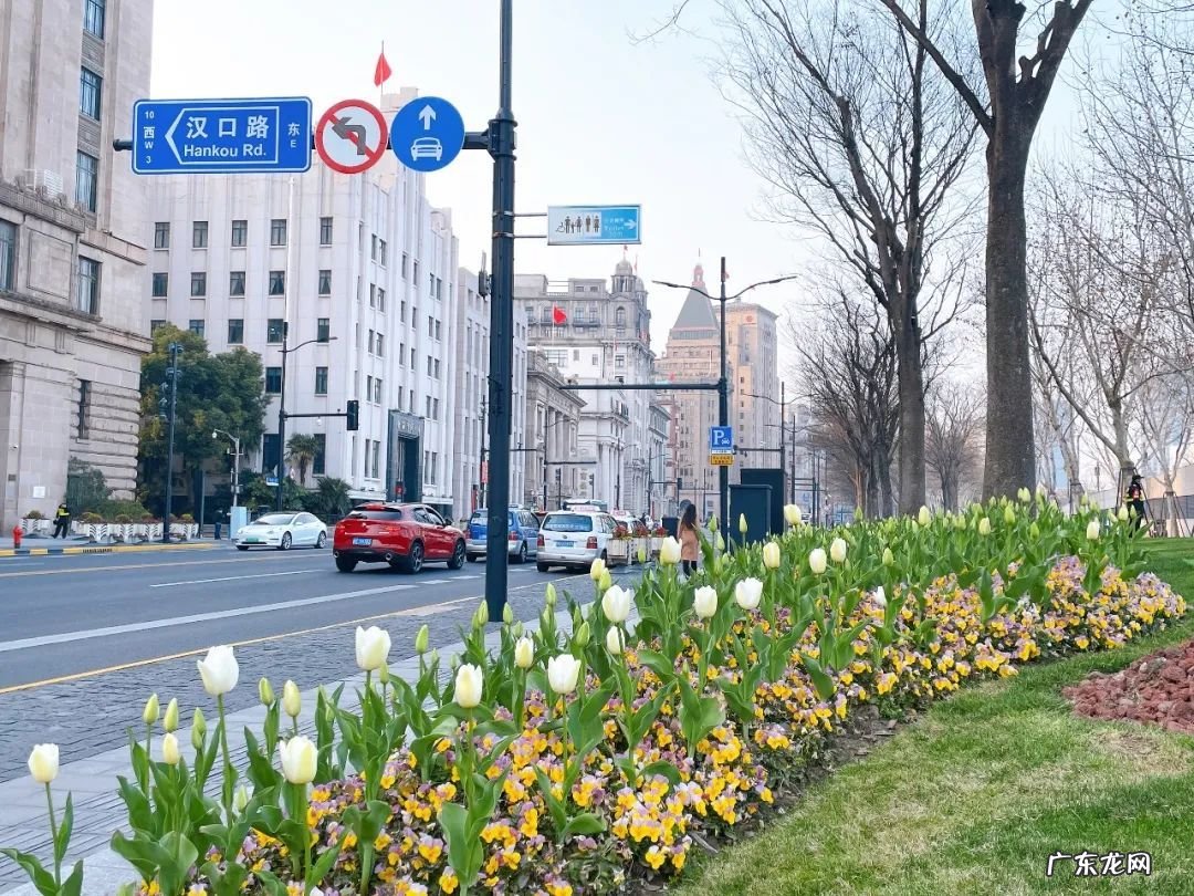 楼房在十字路口的高层 高架十字路口的房子