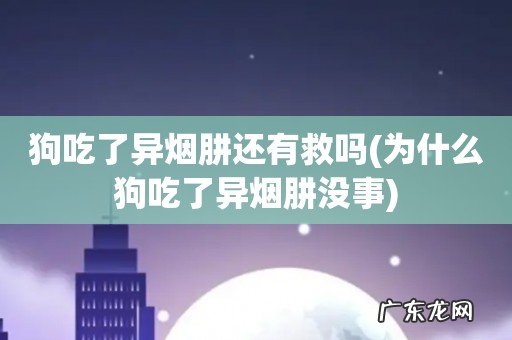 为什么狗吃了异烟肼没事 狗吃了异烟肼还有救吗