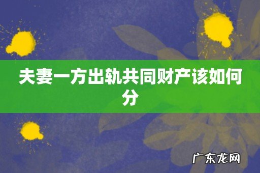 夫妻一方出轨共同财产该如何分