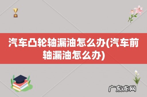 汽车前轴漏油怎么办 汽车凸轮轴漏油怎么办