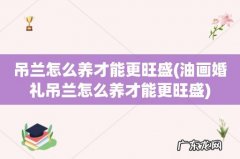 油画婚礼吊兰怎么养才能更旺盛 吊兰怎么养才能更旺盛
