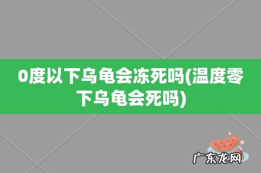 温度零下乌龟会死吗 0度以下乌龟会冻死吗