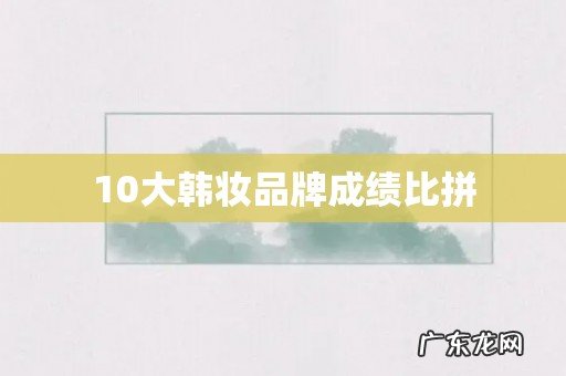 10大韩妆品牌成绩比拼