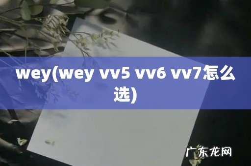 wey vv5 vv6 vv7怎么选 wey