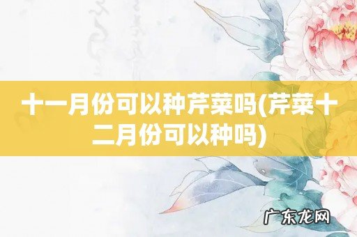 芹菜十二月份可以种吗 十一月份可以种芹菜吗