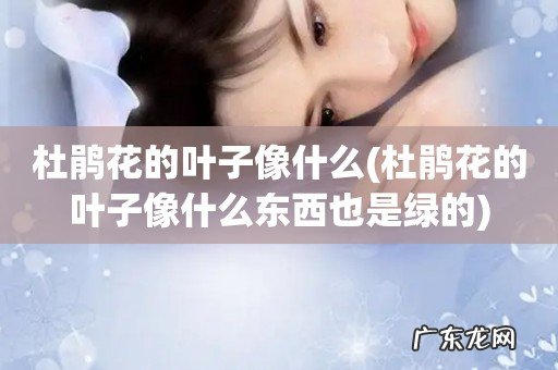 杜鹃花的叶子像什么东西也是绿的 杜鹃花的叶子像什么